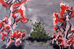 gesine-kikol_frogs