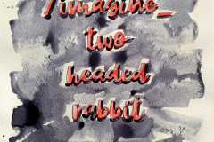 Schrift_imagine_two-headed-rabbit-web