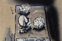 Vogeleier_2024-web