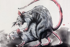 Liebesratten_65x70_2025-klein