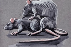 Ratten-03_21x15_2025-web