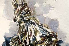 Hare-in-Bad-Mood_01-web