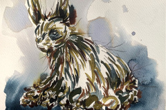 Hare-in-Bad-Mood_ss2-web