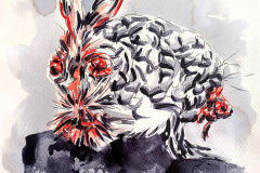 Hare-with-Brain-spilling-out-of-Head_02-web