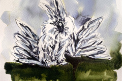 Rabbit-with-White-Wings_01-web
