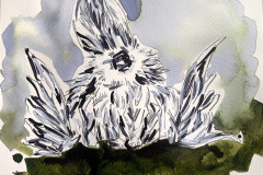 Rabbit-with-White-Wings_02-web