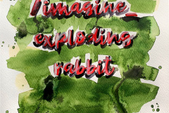 Schrift_imagine_exploding-rabbit-web