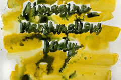 Schrift_imagine_marshmallow-body-web