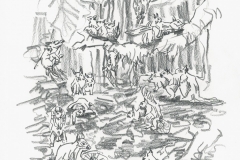 tief-im-wald_03-web_0